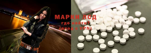стаф Тында