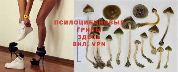 стаф Тында