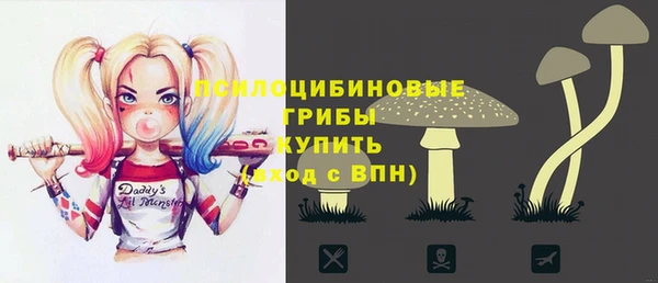 jwh Тобольск