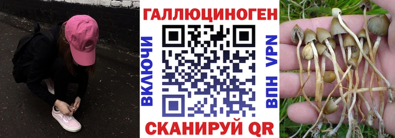 Псилоцибиновые грибы ЛСД  где продают наркотики  площадка телеграм  Орехово-Зуево 